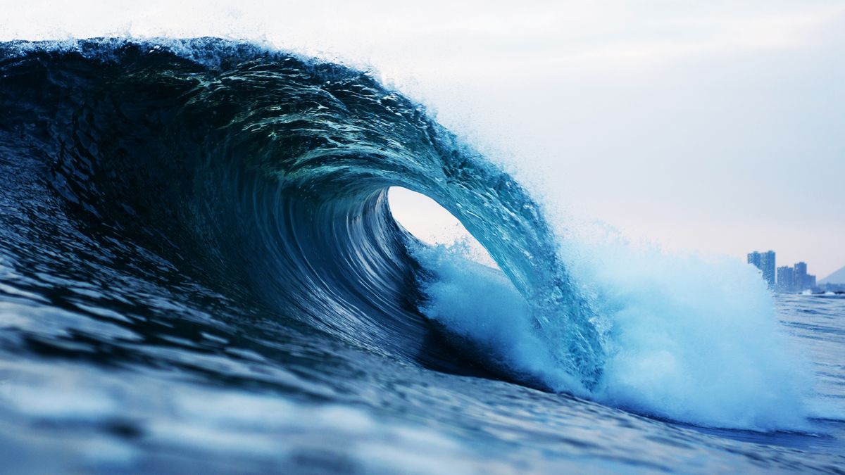 🏆 衝浪 GOAT 傳奇 Kelly Slater：11 座世界冠軍的跨時代浪頭霸主